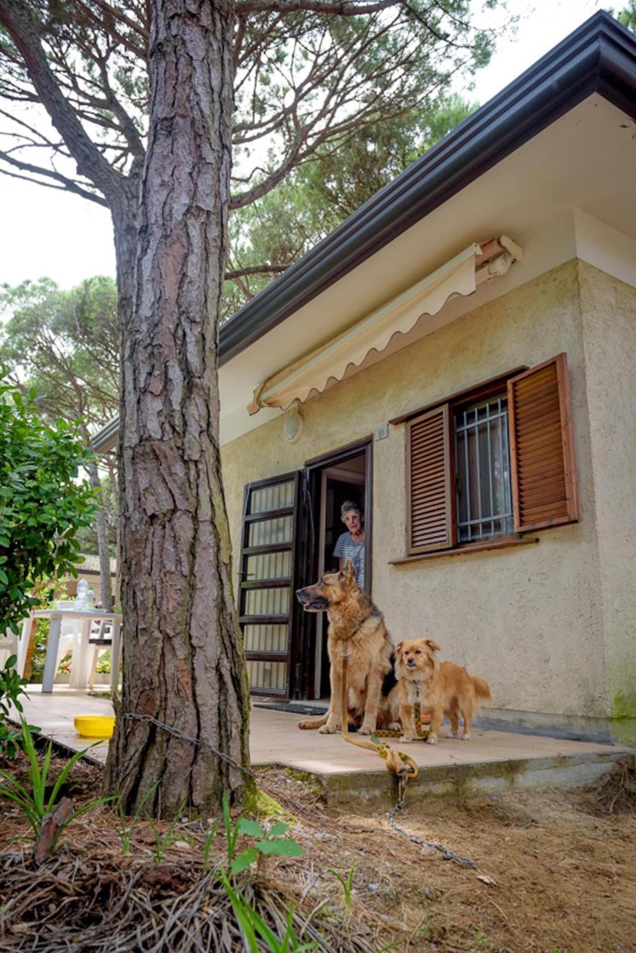 Arco Bungalow Eraclea Mare Exteriör bild